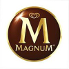 Magnumicecream.com logo