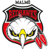 Malmoredhawks.com logo