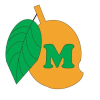 Mangolinkcam.com logo