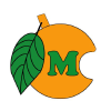 Mangolinkproperty.com logo