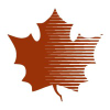Maplegrovemn.gov logo