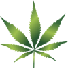 Marijuanapassion.com logo
