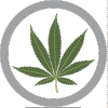 Marijuanapolitics.com logo