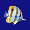 Marineaquariumsa.com logo