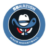 Mavsmoneyball.com logo