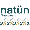 Mayanfamilies.org logo