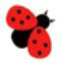 Maybugs.com logo