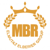 Mbrgroupint.com logo