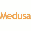 Medusabusiness.com logo