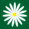 Megaflowers.ru logo