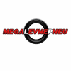 Megalevnepneu.cz logo