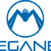 Meganet.com.vn logo