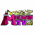 Megwin.com logo