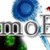 Memobio.fr logo