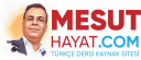 Mesuthayat.com logo