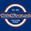 Metsminors.net logo