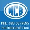 Michelecaroli.com logo