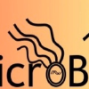 Microbe.net logo