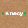 Microgorodvlesu.ru logo