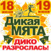 Mintmusic.ru logo