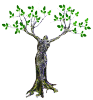 Miracletrees.org logo