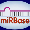 Mirbase.org logo