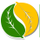 Mitalom.com logo