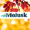 Mojusk.ba logo