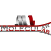 Molecularlab.it logo