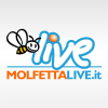 Molfettalive.it logo