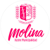 Molina.cl logo