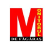Monitorfg.ro logo