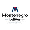 Montenegroleiloes.com.br logo