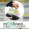 Moolineo.com logo