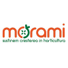 Morami.ro logo