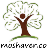 Moshaver.co logo