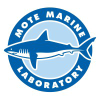 Mote.org logo
