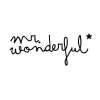 Mrwonderfulshop.com logo