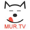 Mur.tv logo
