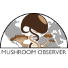 Mushroomobserver.org logo