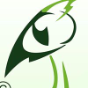 Mybirds.ru logo