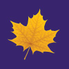 Mylaurier.ca logo