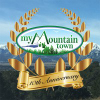 Mymountaintown.com logo