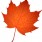 Myownadvisor.ca logo