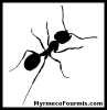 Myrmecofourmis.com logo