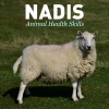 Nadis.org.uk logo