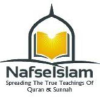 Nafseislam.com logo