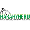 Nakanune.ru logo