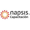 Napsis.cl logo