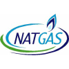Natgas.com.eg logo